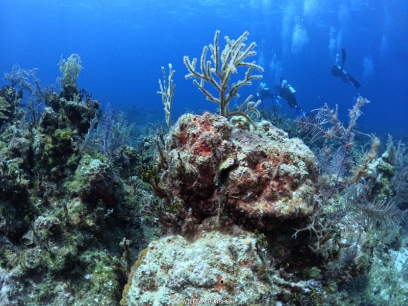 DCIM\100GOPRO\GOPR8269.JPG