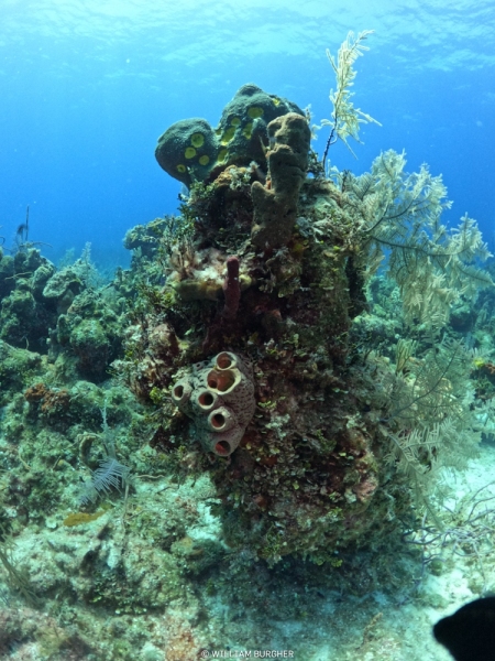 DCIM\100GOPRO\GOPR8266.JPG