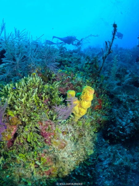 DCIM\100GOPRO\GOPR8405.JPG