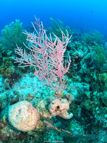 DCIM\100GOPRO\GOPR8431.JPG