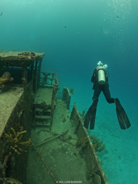 DCIM100GOPROGOPR8652.JPG
