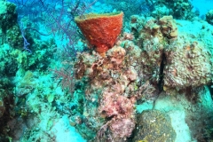 DCIM\100GOPRO\GOPR3348.JPG
