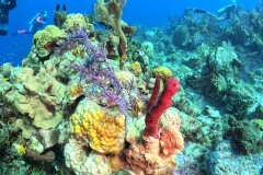 DCIM\100GOPRO\GOPR3621.JPG