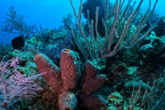 DCIM\100GOPRO\GOPR3605.JPG