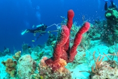 DCIM\100GOPRO\GOPR3588.JPG