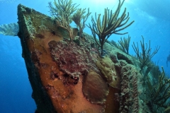 DCIM\100GOPRO\GOPR8907.JPG