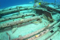 DCIM\100GOPRO\GOPR8894.JPG