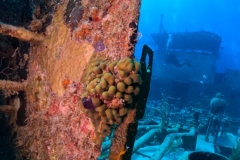 DCIM\100GOPRO\GOPR8889.JPG