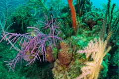 DCIM\100GOPRO\GOPR9033.JPG