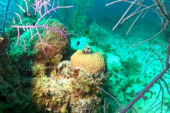 DCIM\100GOPRO\GOPR9017.JPG