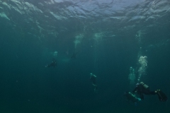 DCIM\100GOPRO\GOPR9226.JPG