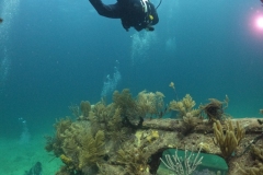 DCIM\100GOPRO\GOPR9148.JPG