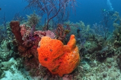 DCIM\100GOPRO\GOPR9131.JPG