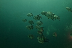 DCIM\100GOPRO\GOPR9208.JPG