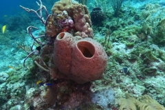 DCIM\100GOPRO\GOPR3773.JPG