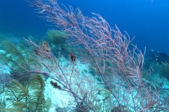 DCIM\100GOPRO\GOPR3770.JPG