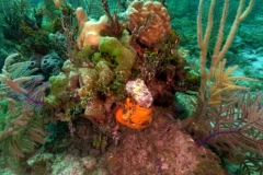 DCIM\100GOPRO\GOPR3765.JPG