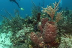 DCIM\100GOPRO\GOPR3920.JPG