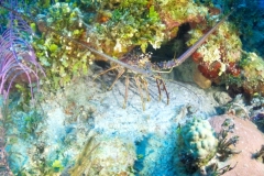 DCIM\100GOPRO\GOPR4139.JPG