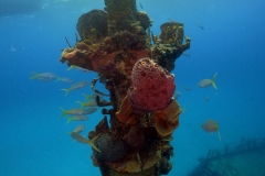 DCIM\100GOPRO\GOPR4302.JPG
