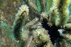 DCIM\100GOPRO\GOPR9878.JPG