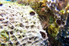 DCIM\100GOPRO\GOPR9868.JPG