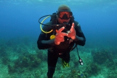 DCIM\100GOPRO\GOPR4903.JPG