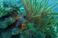 DCIM\100GOPRO\GOPR4649.JPG