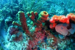 DCIM\100GOPRO\GOPR4643.JPG