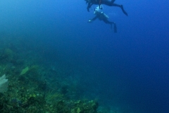 DCIM\100GOPRO\GOPR4730.JPG