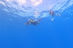 DCIM\100GOPRO\GOPR9895.JPG