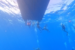 DCIM\100GOPRO\GOPR9893.JPG