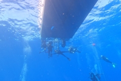 DCIM\100GOPRO\GOPR9892.JPG