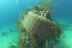 DCIM\100GOPRO\GOPR6704.JPG