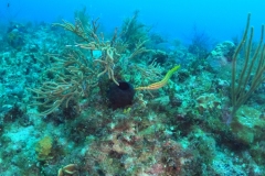 DCIM\100GOPRO\GOPR7295.JPG DCIM\100GOPRO\GOPR7295.JPG