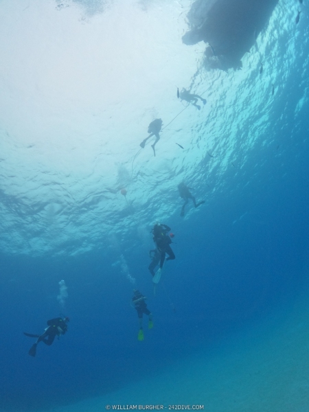 DCIM\100GOPRO\GOPR9959.JPG