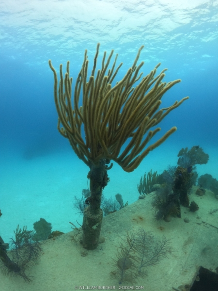 DCIM\100GOPRO\GOPR9944.JPG
