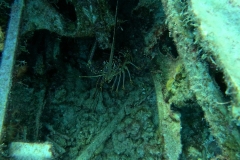 DCIM\100GOPRO\GOPR2618.JPG