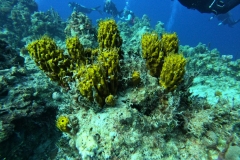 DCIM\100GOPRO\GOPR2612.JPG