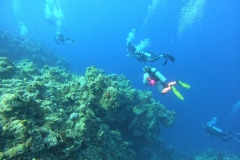 DCIM\100GOPRO\GOPR2609.JPG