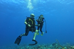 DCIM\100GOPRO\GOPR2604.JPG