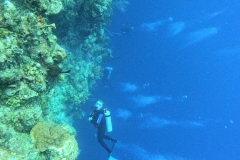 DCIM\100GOPRO\GOPR2602.JPG