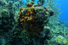 DCIM\100GOPRO\GOPR2601.JPG