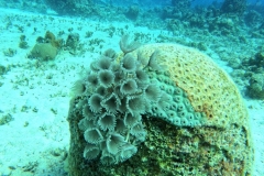 DCIM\100GOPRO\GOPR2631.JPG