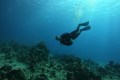 DCIM\100GOPRO\GOPR2629.JPG