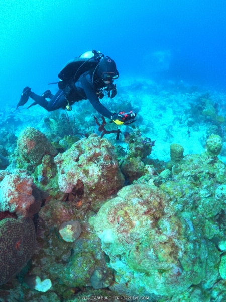 DCIM\101GOPRO\GOPR0044.JPG