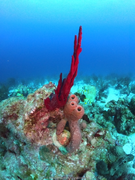 DCIM\101GOPRO\GOPR0030.JPG