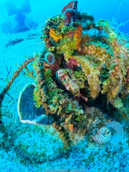 DCIM\101GOPRO\GOPR0004.JPG