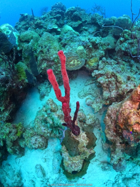DCIM\101GOPRO\GOPR0051.JPG