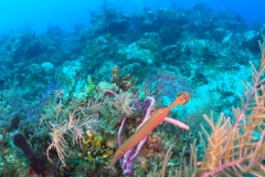DCIM\101GOPRO\GOPR0112.JPG
